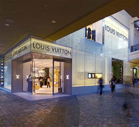 Louis Vuitton ala moana